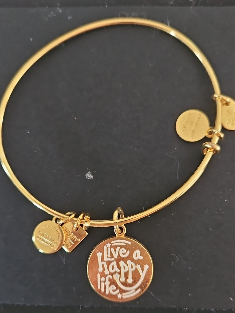 Alex and Ani Gold-tone 'Live a Happy Life' Charm Bangle